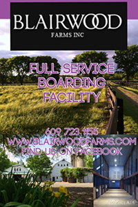 Welcome to Blairwood Farms, IncBlairwood Farms | Horse Farm in ...