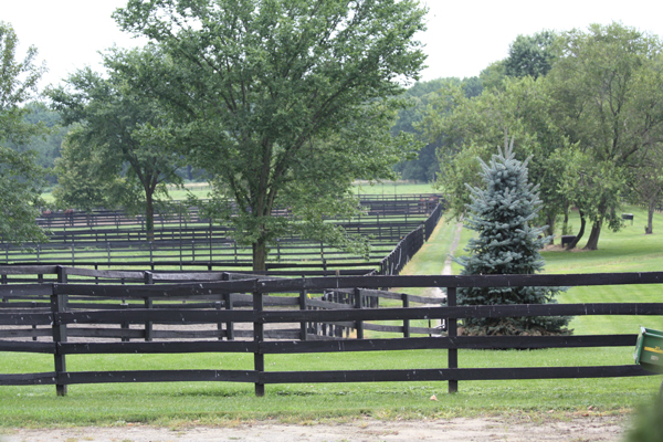 Blairwood Farms view of farm