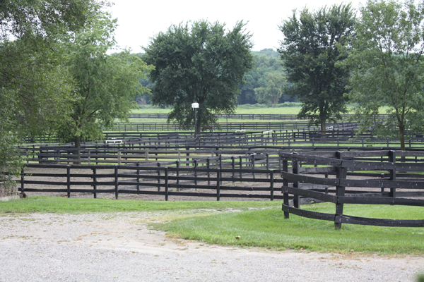 Blairwood Farms view of farm fencing