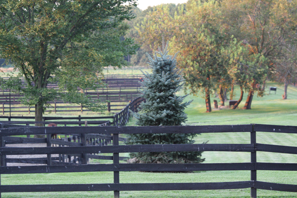 Blairwood Farms New Jersey