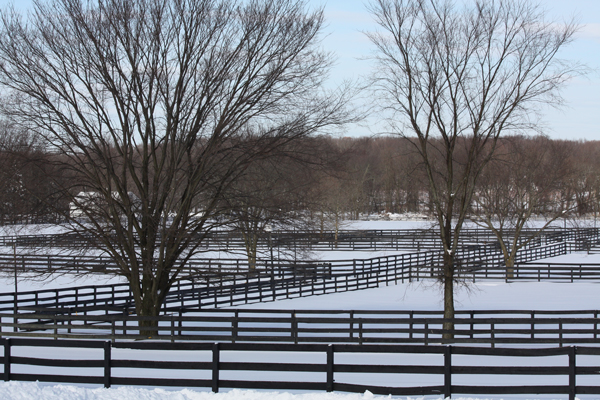 Blairwood Farms Winter-scape