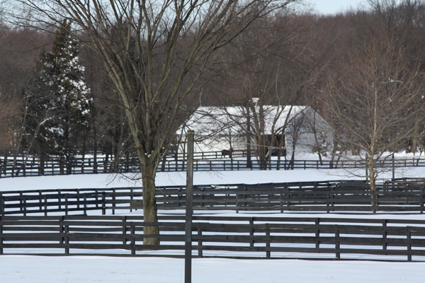 Beautiful view Blairwood Farms NJ