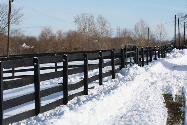 Blairwood Farms NJ snow day