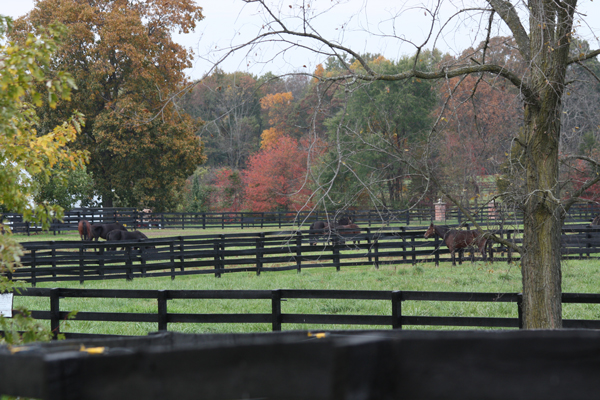 Fall at Blairwood Farms 