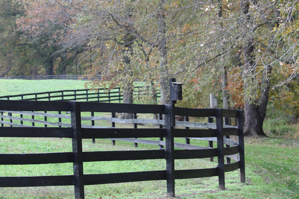 Mailbox Blairwood Farms