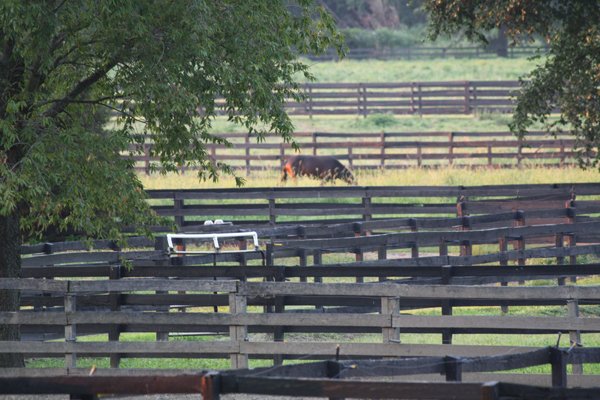 Blairwood Farms Horse Boarding