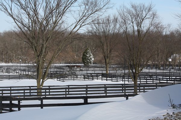 Blairwood Farms beautiful winter-scape