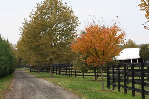 Fall foliage at Blairwood Farms