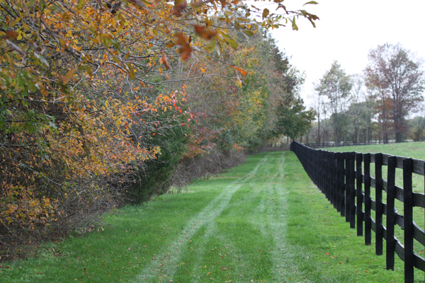 Autumn at Blairwood Farms