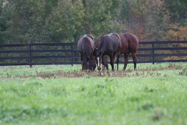 Snack time at Blairwood Farms New Jersey